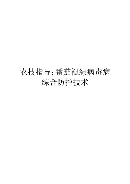 农技指导：番茄褪绿病毒病综合防控技术
