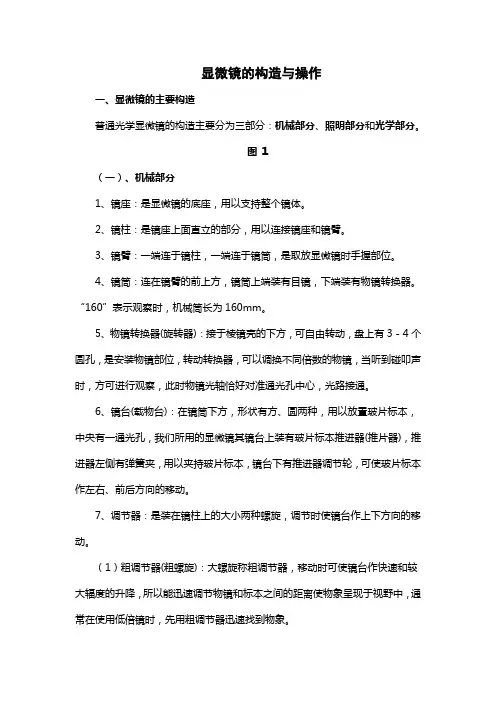 显微镜的构造与操作