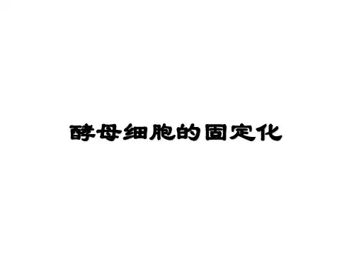 《酵母细胞的固定化》课件.ppt