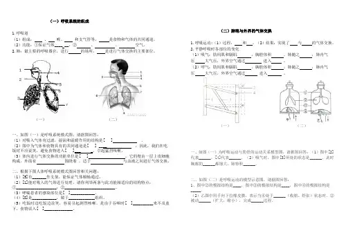 人体与外界的气体交换(精选练习)