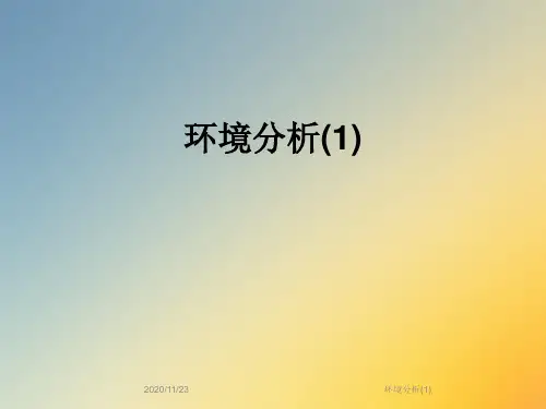环境分析(1)