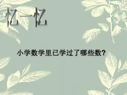 数学:2.1《正数和负数》课件5(华东师大版七年级上)