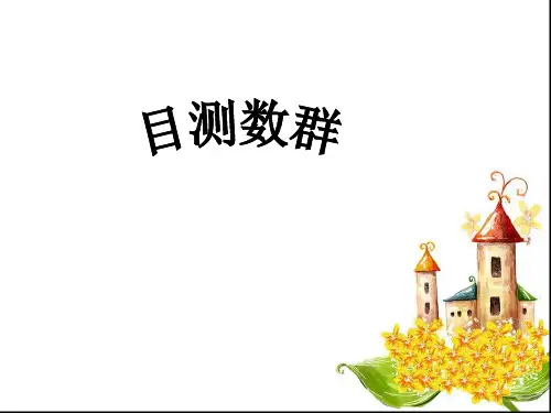 幼儿园大班数学-糖果有多少-目测群数