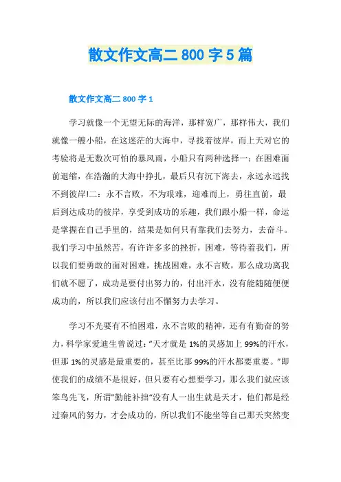 散文作文高二800字5篇