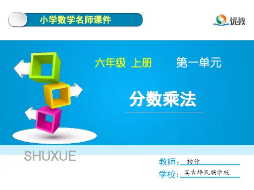 《分数乘法》总复习