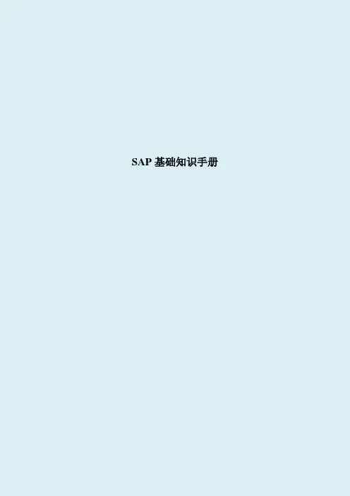 SAP基础知识手册