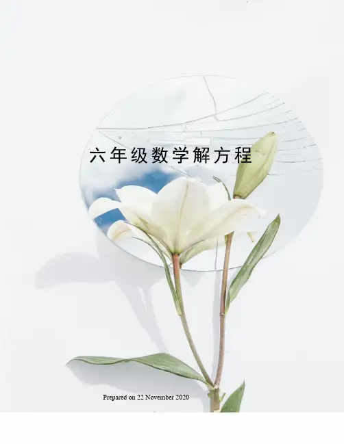 六年级数学解方程