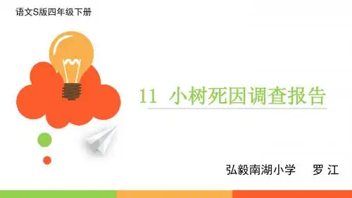 11小树死因调查报告