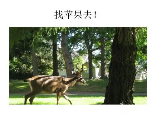 鹿