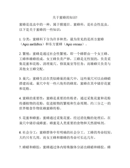 关于蜜蜂的知识!