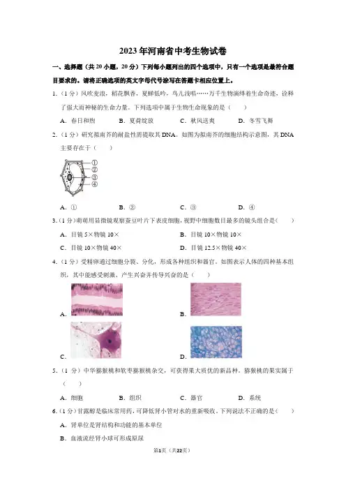 2023年河南省中考生物试卷(含答案)