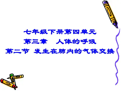 肺与外界进行气体交换
