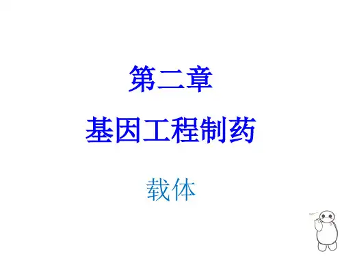 生物技术制药 第二章 基因工程制药2