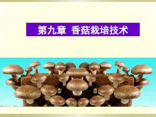 第九章香菇栽培技术