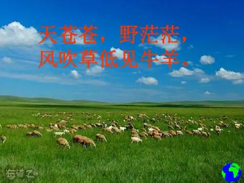 畜牧业为主的农业地域类型