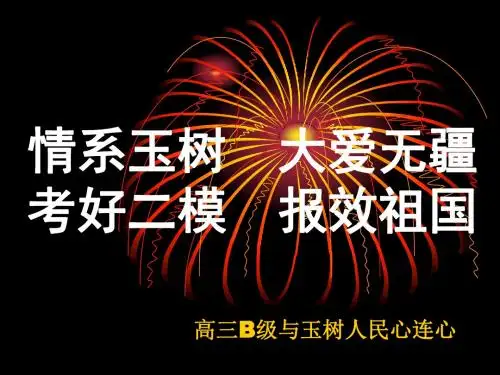 【最新国家学校班级篇--优秀主题班会课件】主题班会情系玉树大爱无疆