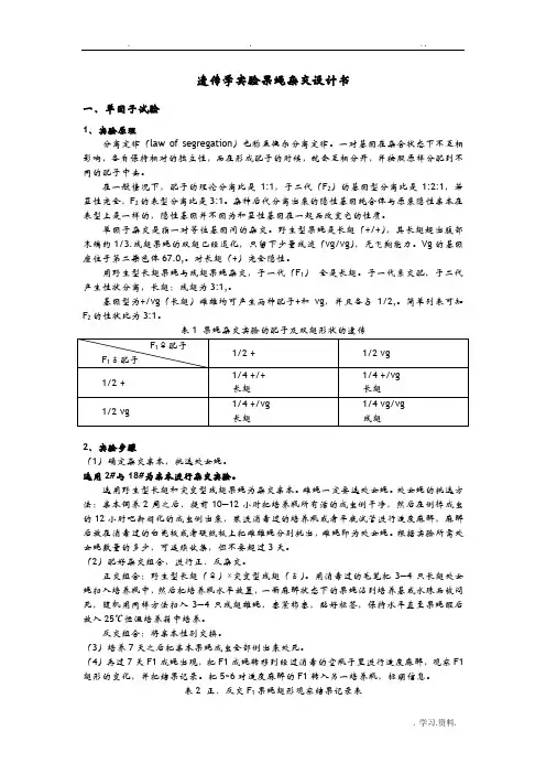 遗传学实验果蝇杂交设计书 3