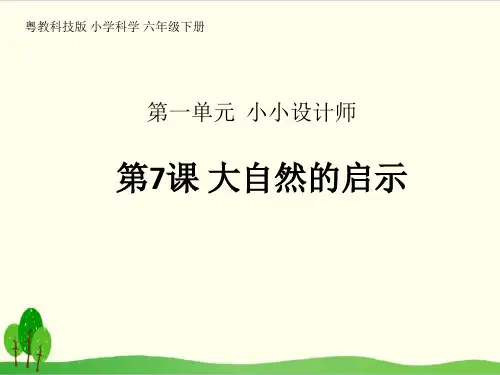 粤教版科学PPT《大自然的启示》优质课件1