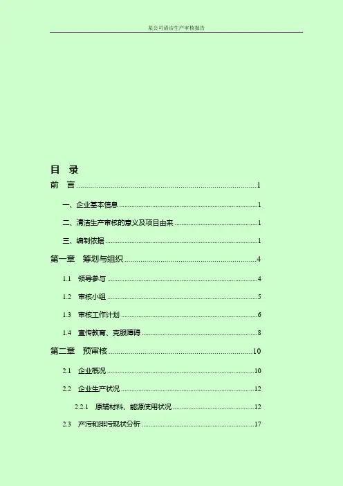 某公司清洁生产审核报告正文