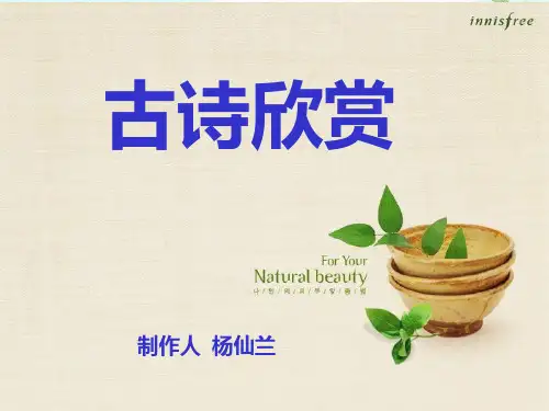 咏柳唐贺知章