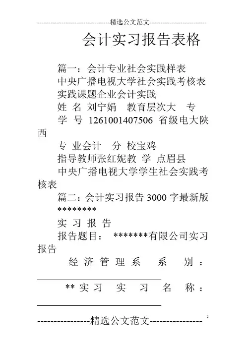 会计实习报告表格