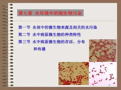 第七章 水环境中的微生物污染第一节、第二节