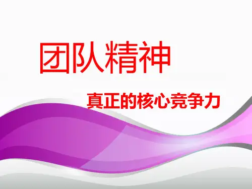 团队精神与领导激励课件PPT