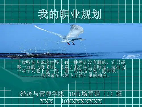 市场营销专业职业规划