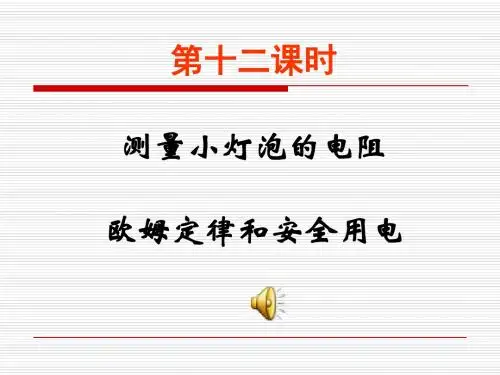 中考物理总复习课件(20)--测量小灯泡的电阻--安全用电