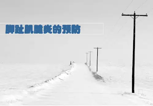 脚趾肌腱炎的预防
