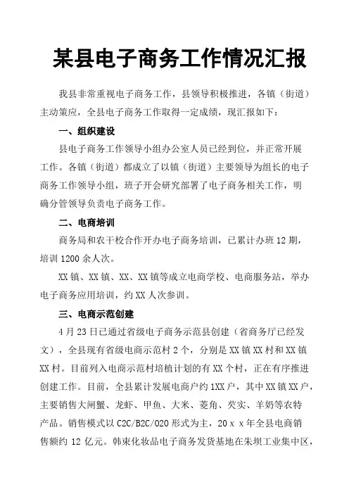 某县电子商务工作情况汇报