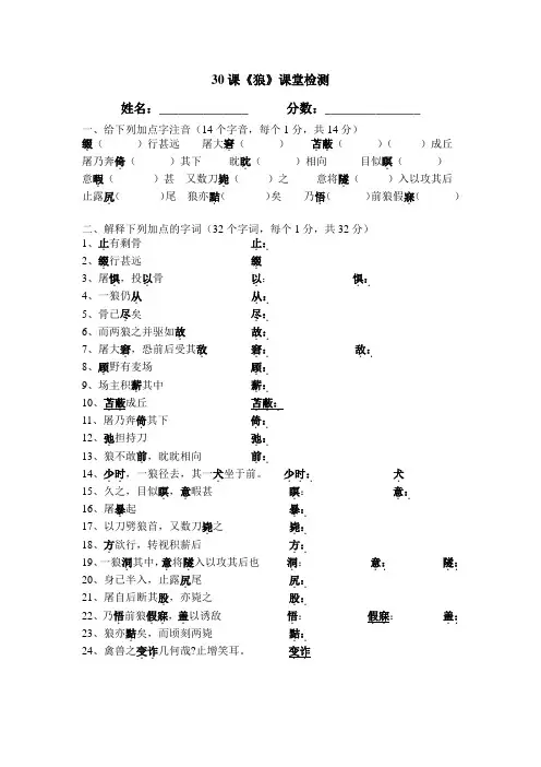 30课狼检测