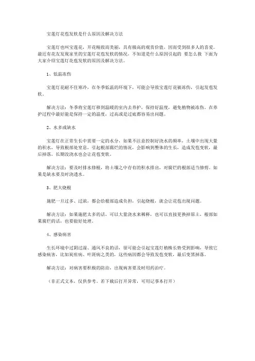 宝莲灯花苞发软是什么原因及解决方法