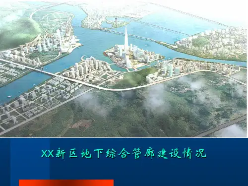 案例:新区地下综合管廊建设情况的报告