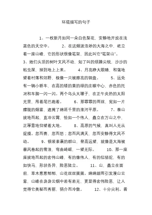 环境描写的句子