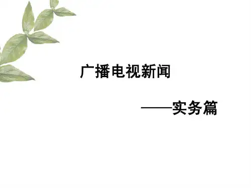 广播电视新闻实务共54页