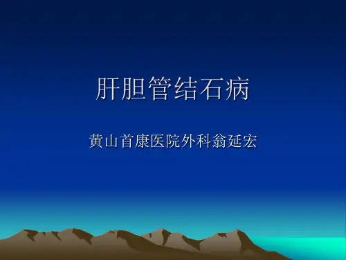 肝胆管结石病