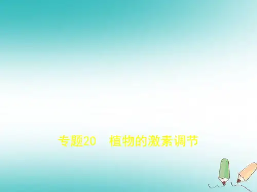 2019版高考生物一轮(全国3卷B版)课件 专题20 植物的激素调节