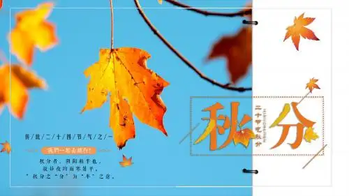 【内容完整】简约小清新秋分节气介绍PPT模板