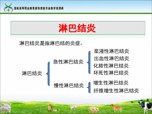 1急性淋巴结炎.