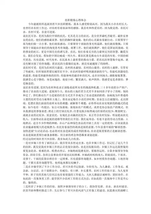 挂职锻炼心得体会