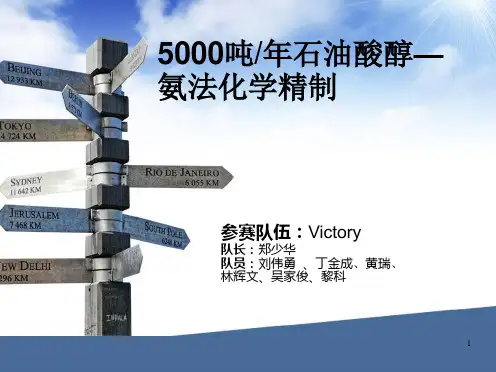 化工设计大赛PPT