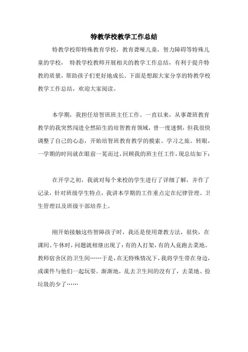 2020年特教学校教学工作总结
