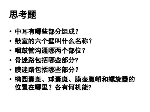 人体解剖-前庭蜗器