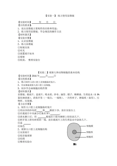 七年级生物上册实验报告册