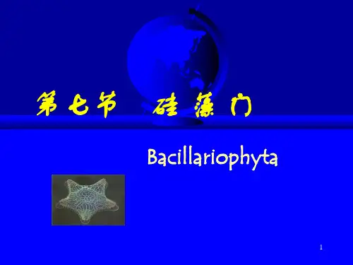 第三章 硅藻门