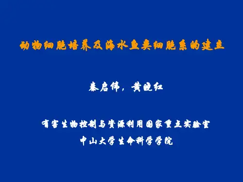 动物细胞培养及海水鱼类细胞系的建立-080125