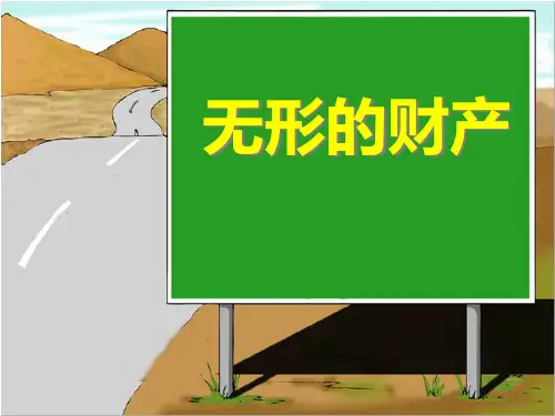 《无形的财产》拥有财产的权利PPT课件六