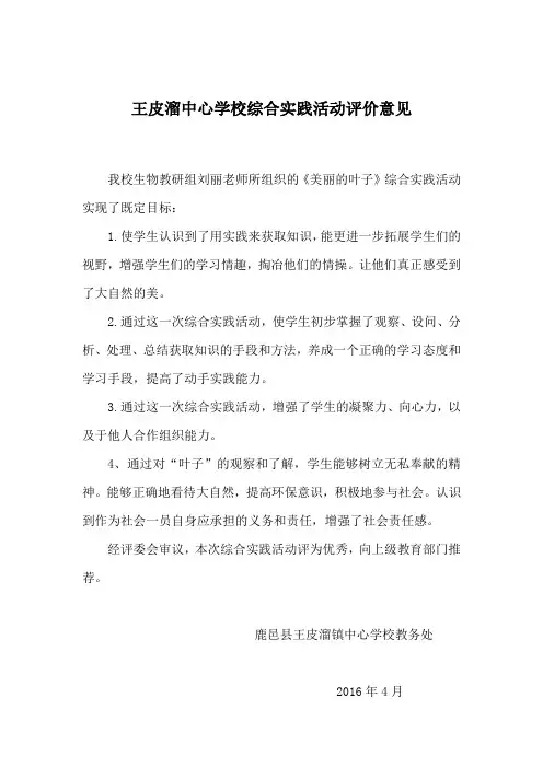 王皮溜镇中心学校综合实践活动评价意见