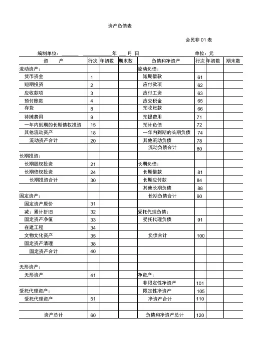 民间非营利组织财务报表